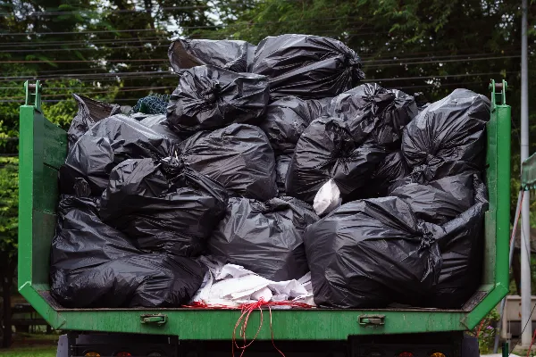 Junk Disposal