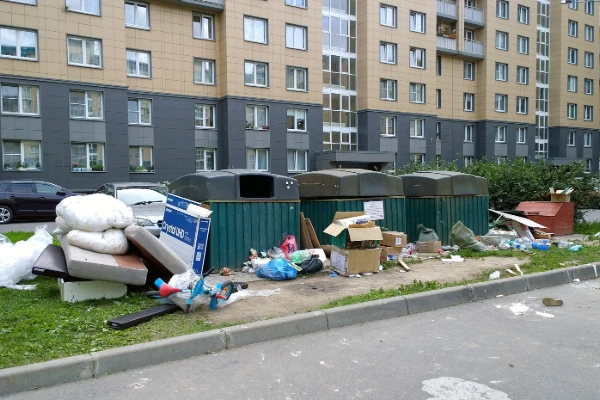 Junk Disposal
