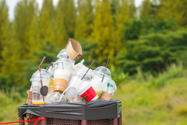 Junk Disposal