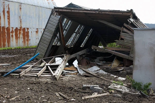 Scrap Removal
